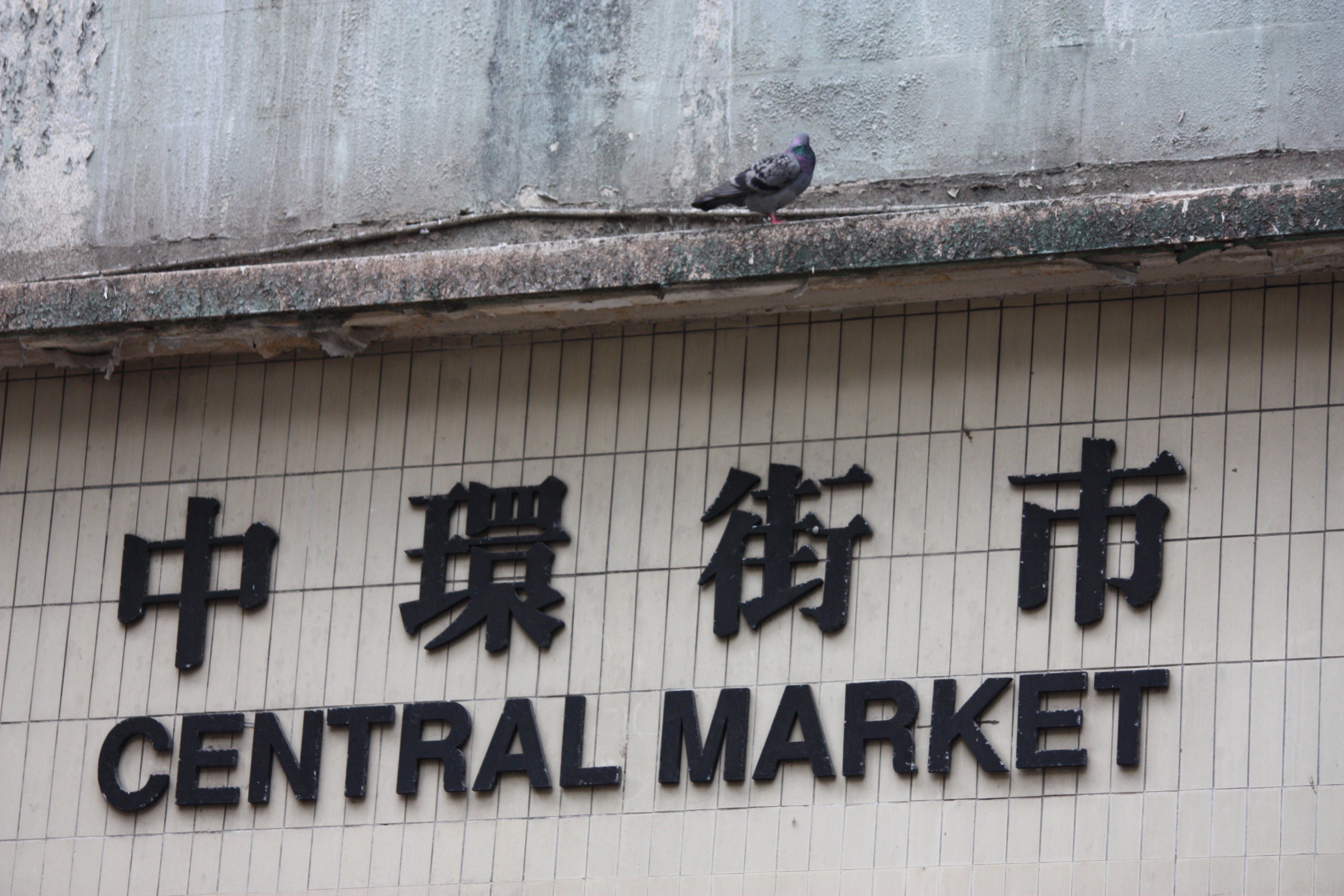 The Redevelopment of the Central Market